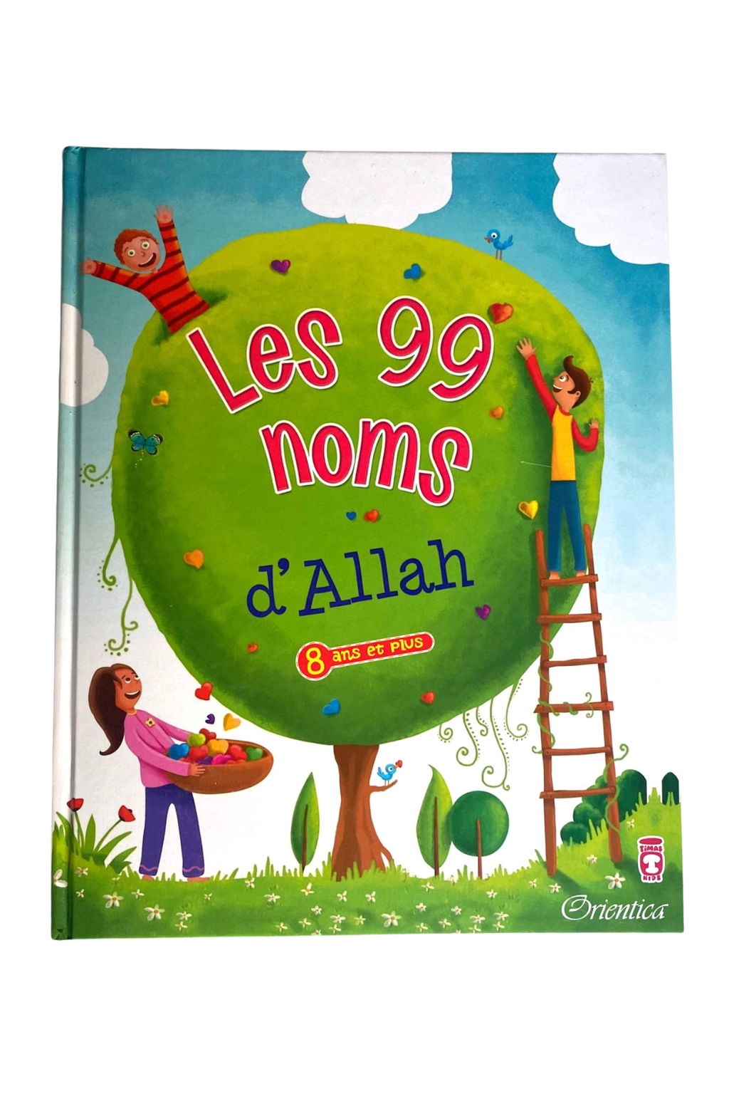 Les 99 Noms d'Allah