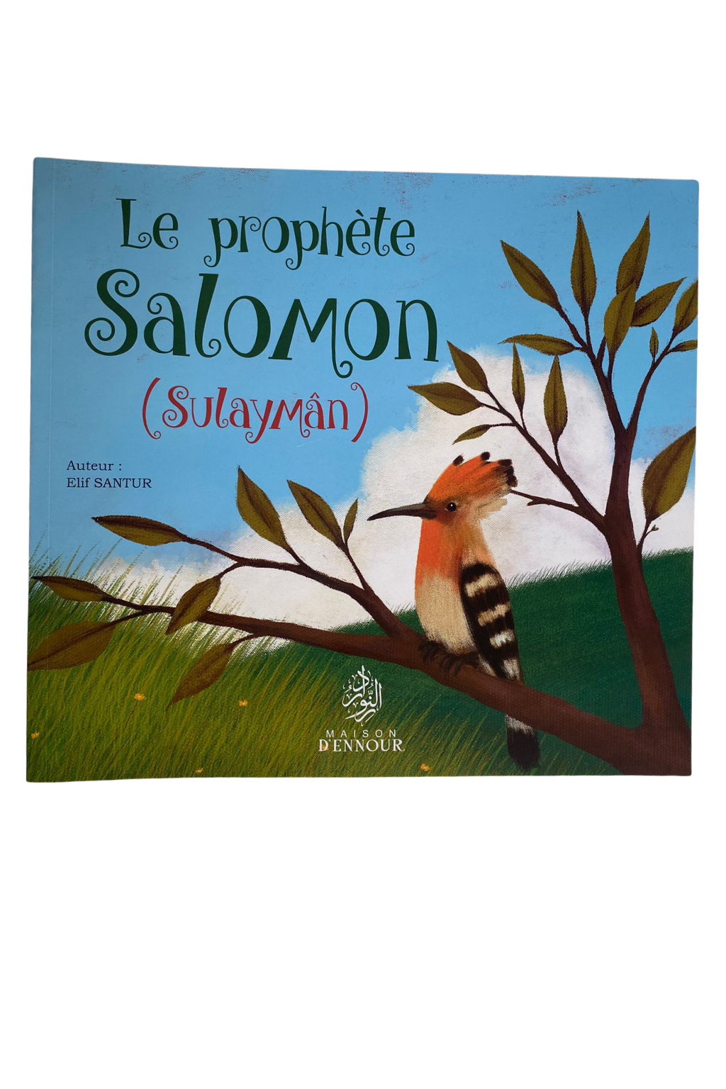 Le Prophète Salomon (Sulayman)